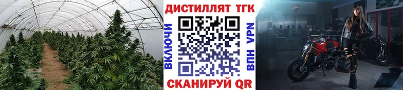 ТГК вейп с тгк  Светогорск 