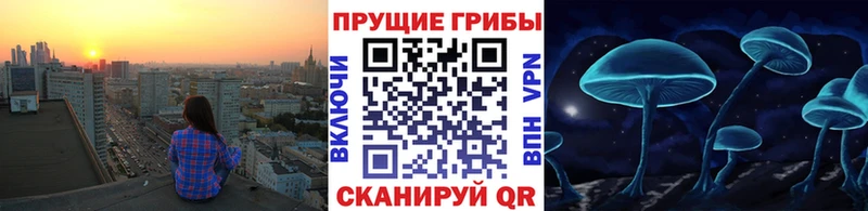 Галлюциногенные грибы прущие грибы Светогорск